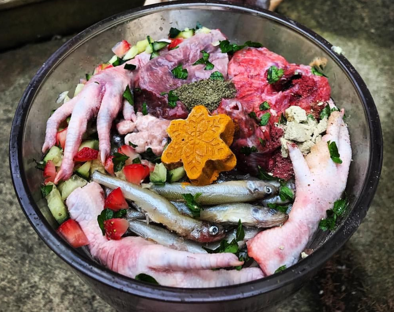 Raw dog food