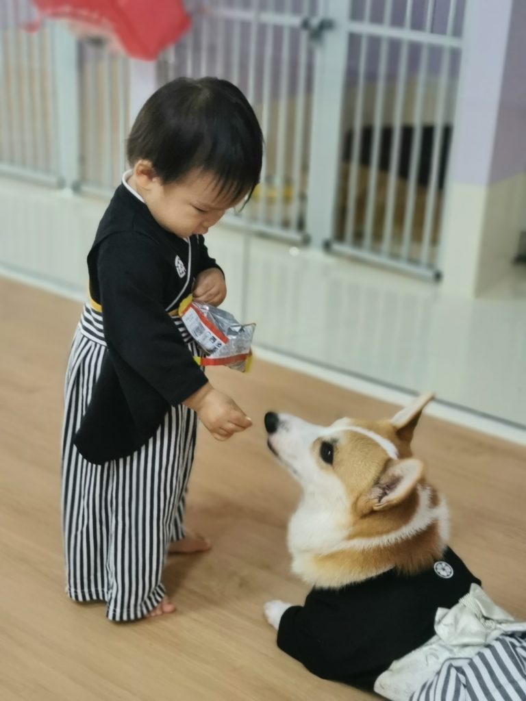 Dog training in twinning Hakata Dog training